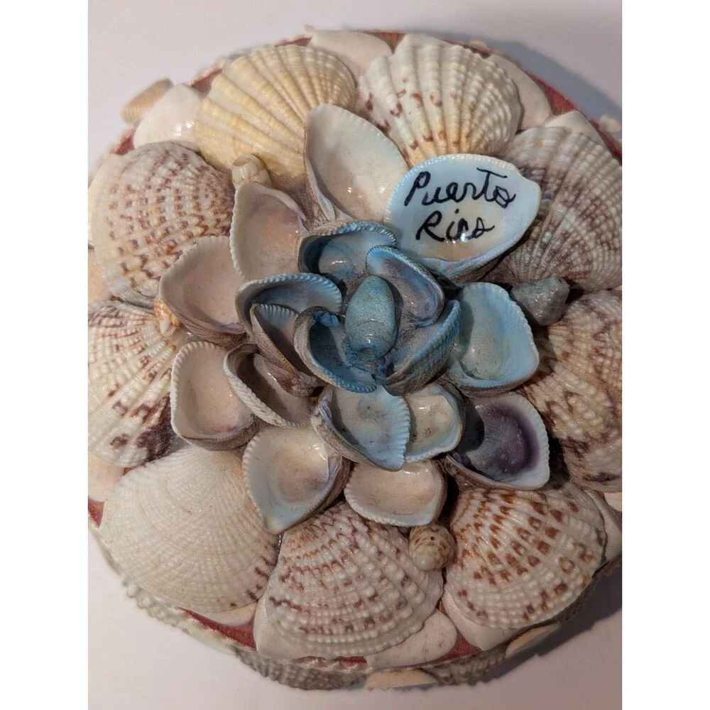 Vintage Puerto Rico Real Seashell Trinket Box Souvenir Handmade Coastal Shells